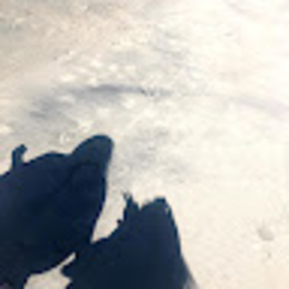shandi_j